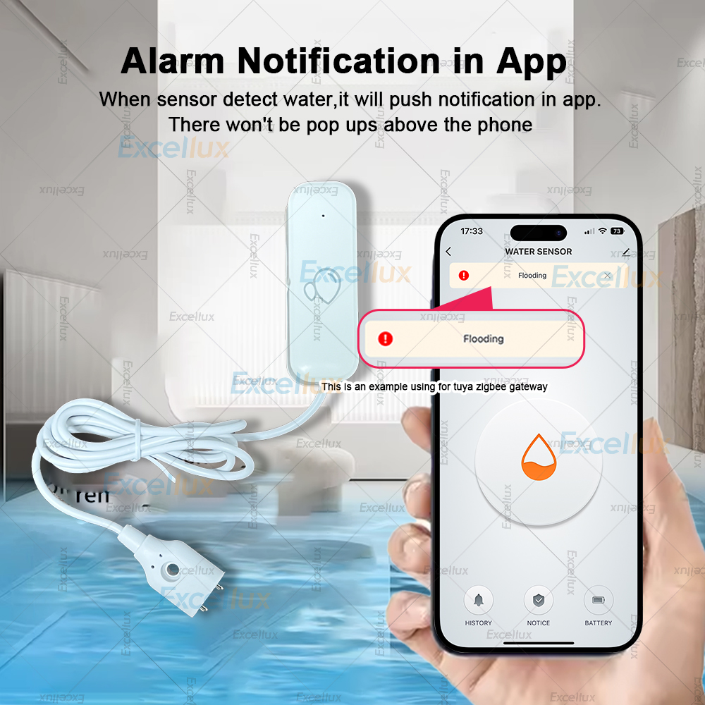 Zigbee Smart Water Leak Sensor - Water Alarm Sensor recension och pris