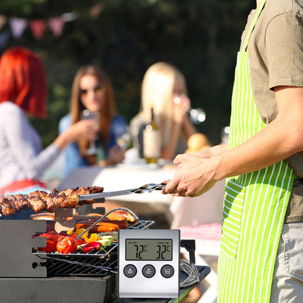 Silver Digital BBQ Meat Thermo - Pool Alarm Float recension och pris
